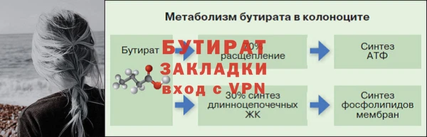 амф Новозыбков