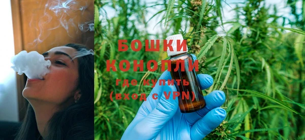 амф Новозыбков